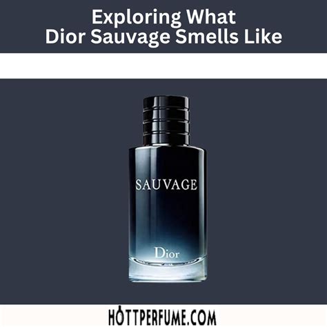 what smells like dior sauvage|cologne better than dior sauvage.